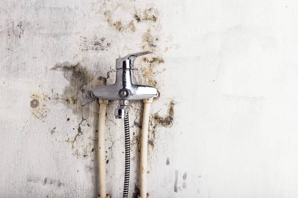 Best Mold Remediation for Schools in Geronimo, OK