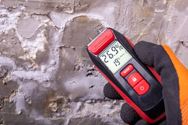 Best HVAC Mold Remediation in Geronimo, OK
