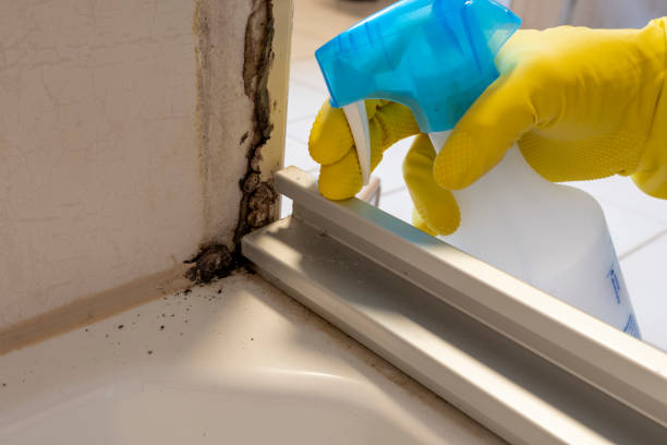 Best Residential Mold Remediation in Geronimo, OK