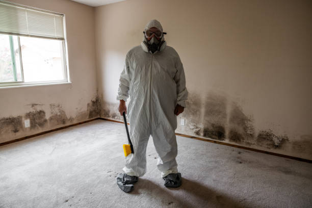 Best Mold Testing and Inspection Services in Geronimo, OK