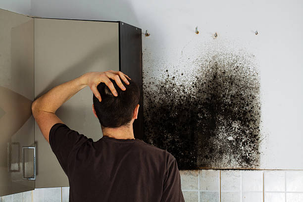 Best Post-Flood Mold Remediation in Geronimo, OK