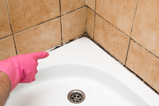 Best Preventive Mold Services in Geronimo, OK